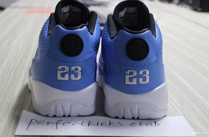 Authentic Low Jordan 9 Pantone Air 0502